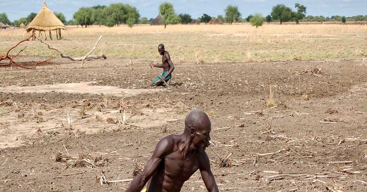 A image of world food program sudan abc news
